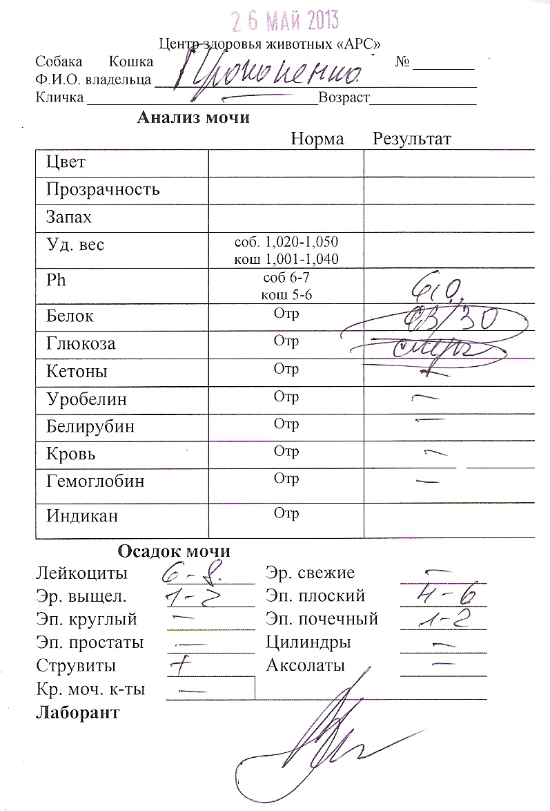 Как быстро сделать анализ мочи 562