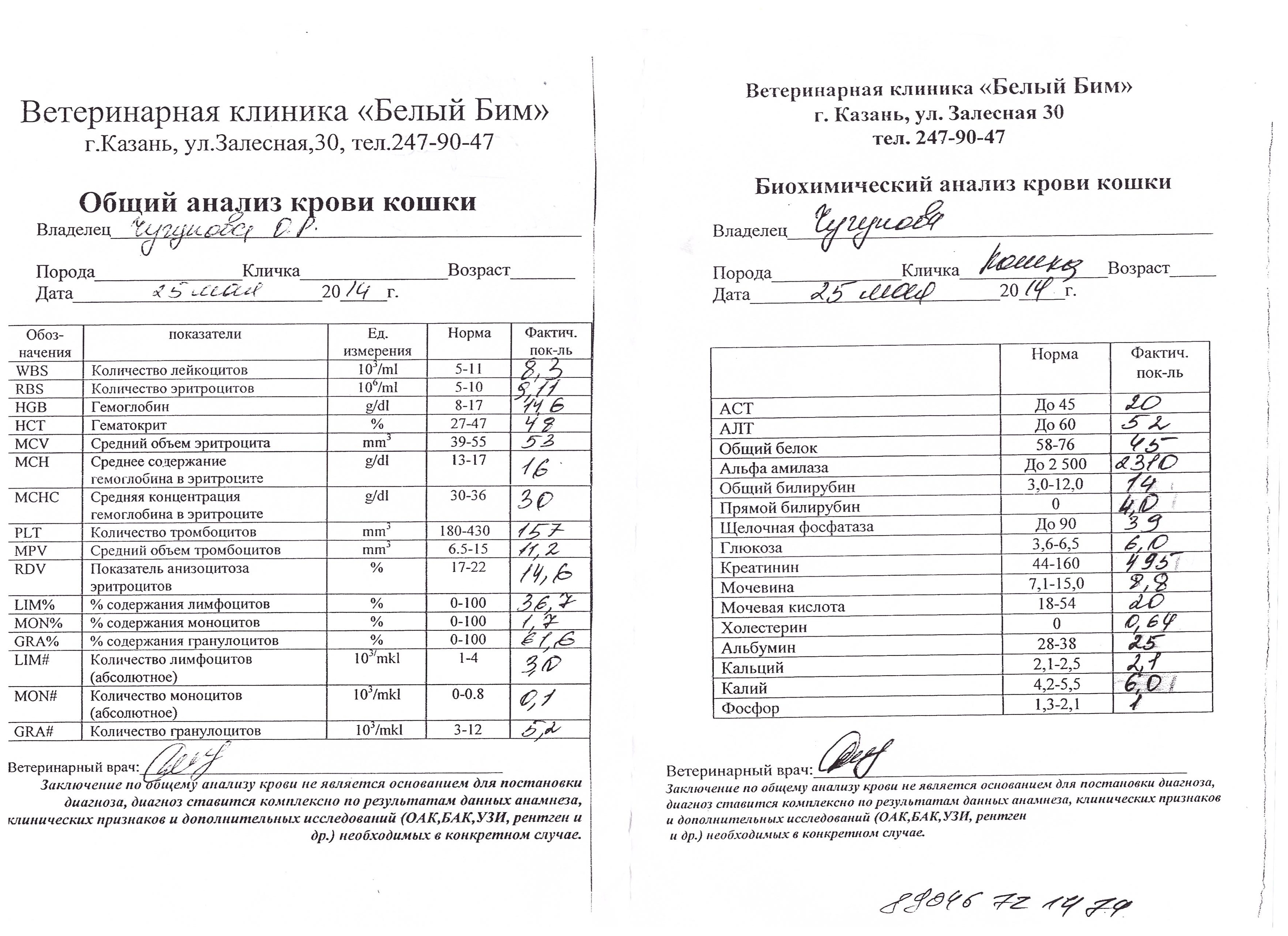 ХПН? МКБ? Для Кусенковой Н.Ю. Подскажите пожалуйста, правильно ли мы  лечися!!! Мы из Казани - Форум