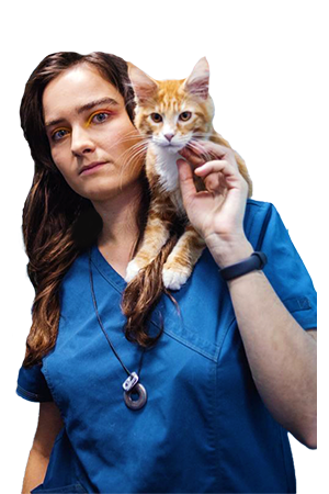 Ганенко Анна Ильинична