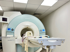 Скидка 20 % на МРТ‑исследование для собак и кошек