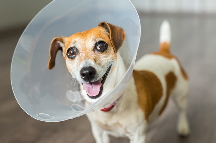 Новая услуга - врач поведенческой медицины