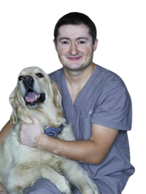 Магомедов Шамиль Багомедович