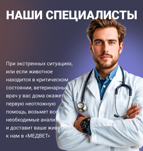 Баннер - Главная вкладка "Вызов на дом"