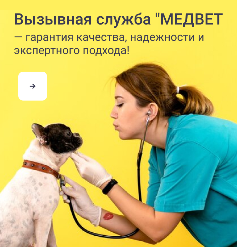 Баннер шапка "Услуги и Цены"