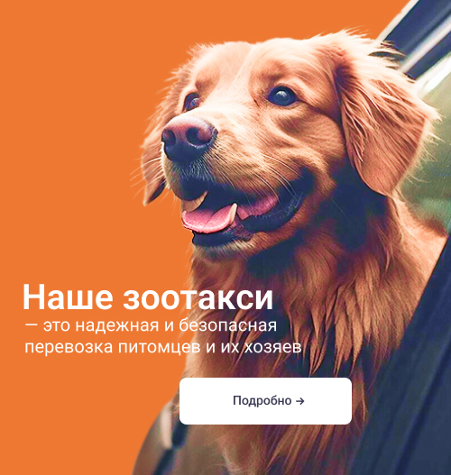 Баннер - Страница "Услуги и цены" #2