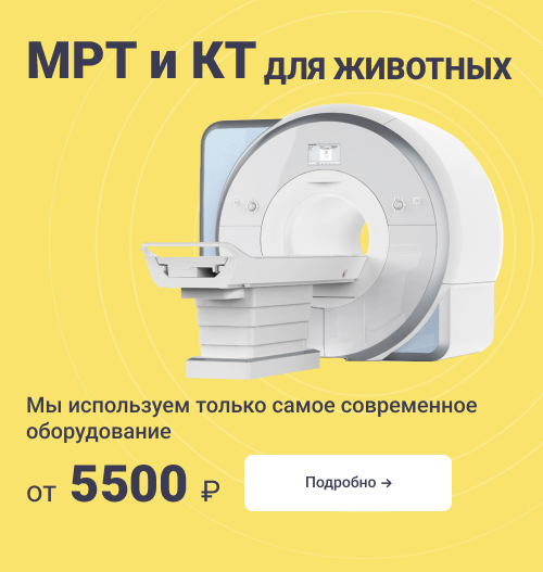 Баннер - Страница услуг раздела "Визуальная диагностика"