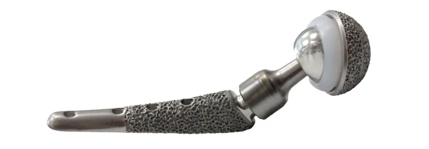 Система бесцементного эндопротезирования тазобедренных суставов у животных Система бесцементного эндопротезирования тазобедренных суставов у животных