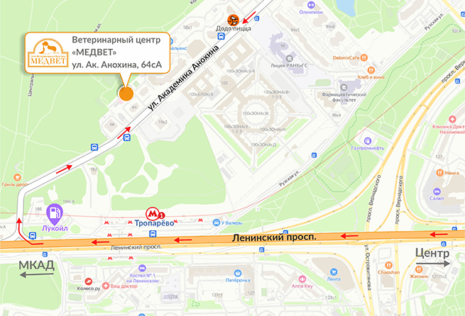 Клиника на Академика Анохина