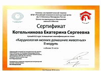 Список сертификатов