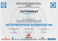 Список сертификатов