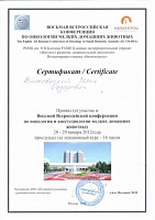 Список сертификатов