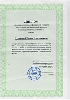 Список сертификатов