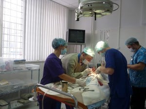 Что лечит ветеринар невролог. Смотреть фото Что лечит ветеринар невролог. Смотреть картинку Что лечит ветеринар невролог. Картинка про Что лечит ветеринар невролог. Фото Что лечит ветеринар невролог