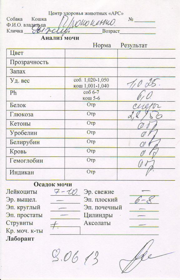 Лейкоциты в моче у собаки. Общий анализ мочи у собак норма таблица. Нормы показателей в анализе мочи у собаки. Анализ мочи щенка нормы. Общий анализ мочи у собак показатели.