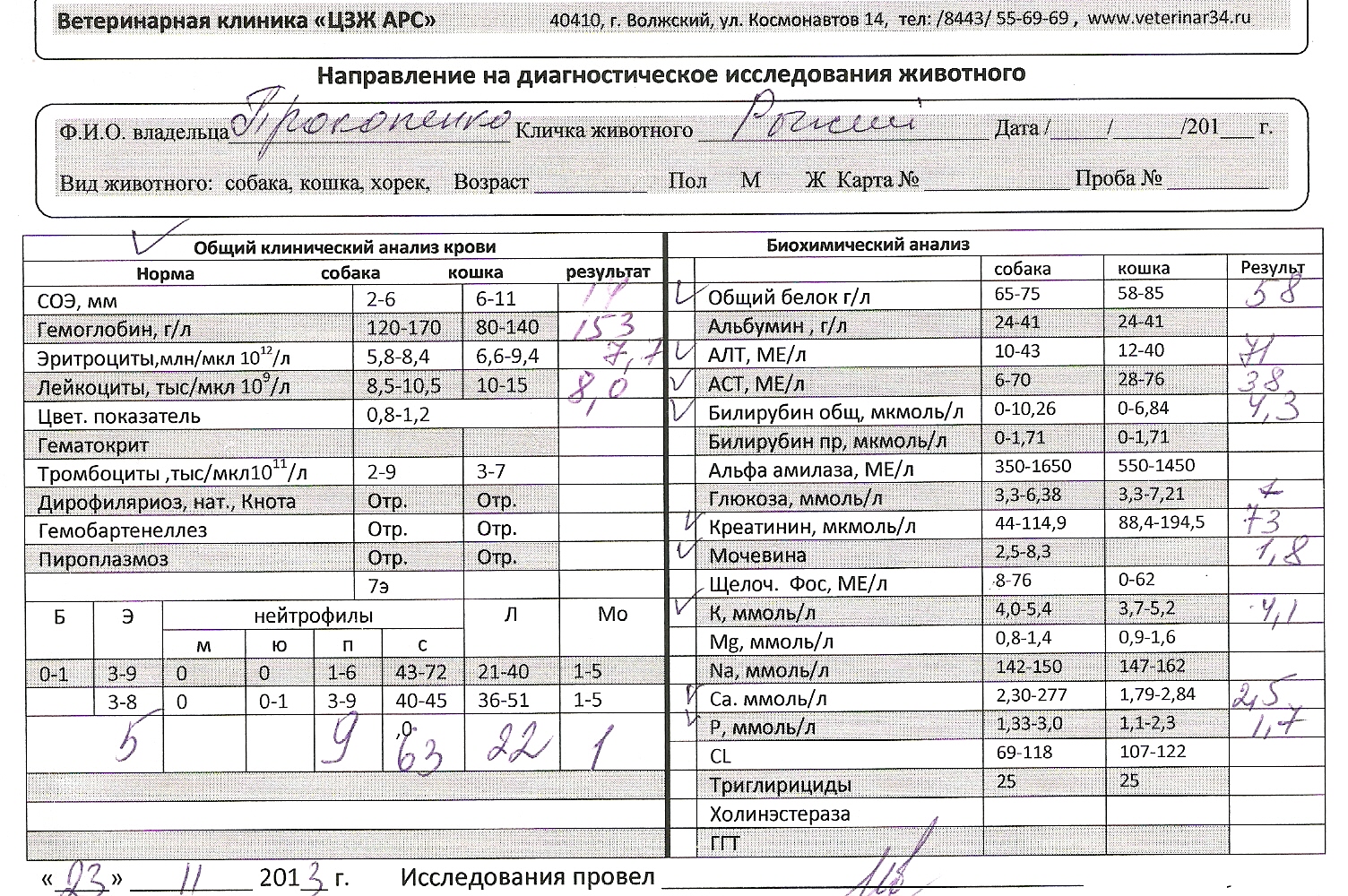 Что такое амилаза в биохимическом анализе. Альфа амилаза мочи. Анализы кошек. Альфа амилаза анализ крови у кота норма. Альфа-амилаза понижена в крови.