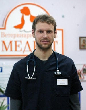 феникс ветеринарная клиника липецк. ветеринар в липецке техникум. панарин евгений валерьевич ветеринар. грищенко ветеринар липецк. ветеринар дмитрий евгеньевич липецк.