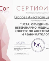 Сертификат дуокор
