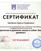 Снимок экрана 2024-05-27 в 13.18.07