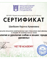 Снимок экрана 2024-05-27 в 13.18.19