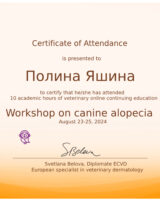 Снимок экрана 2025-01-20 в 12.54.45