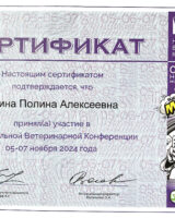 Снимок экрана 2025-01-20 в 12.55.16