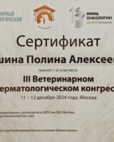 Снимок экрана 2025-01-20 в 12.55.34