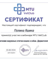 Снимок экрана 2025-01-20 в 12.55.57