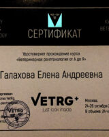 Снимок экрана 2025-02-09 в 14.42.16