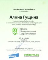сканирование0007