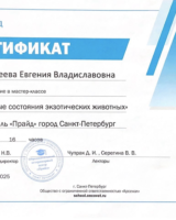 Тимофеева_серт