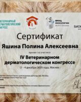 photo_2025-12-29 11.34.36